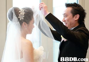 big day wedding day 婚宴摄影服务 2,800起